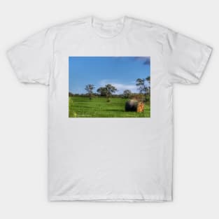 Cows Got Out T-Shirt